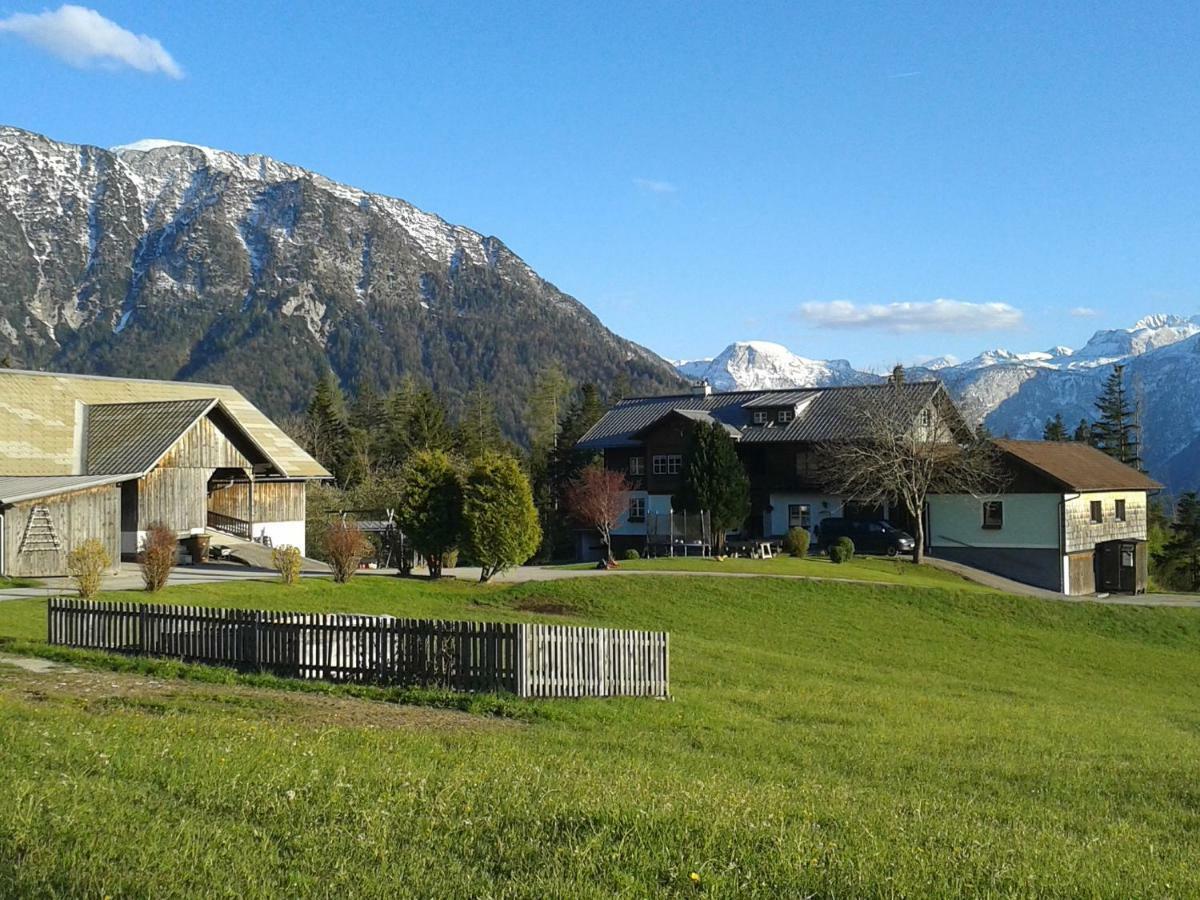 Ferienwohnung Am Bauernhof Koa Bad Goisern Kültér fotó